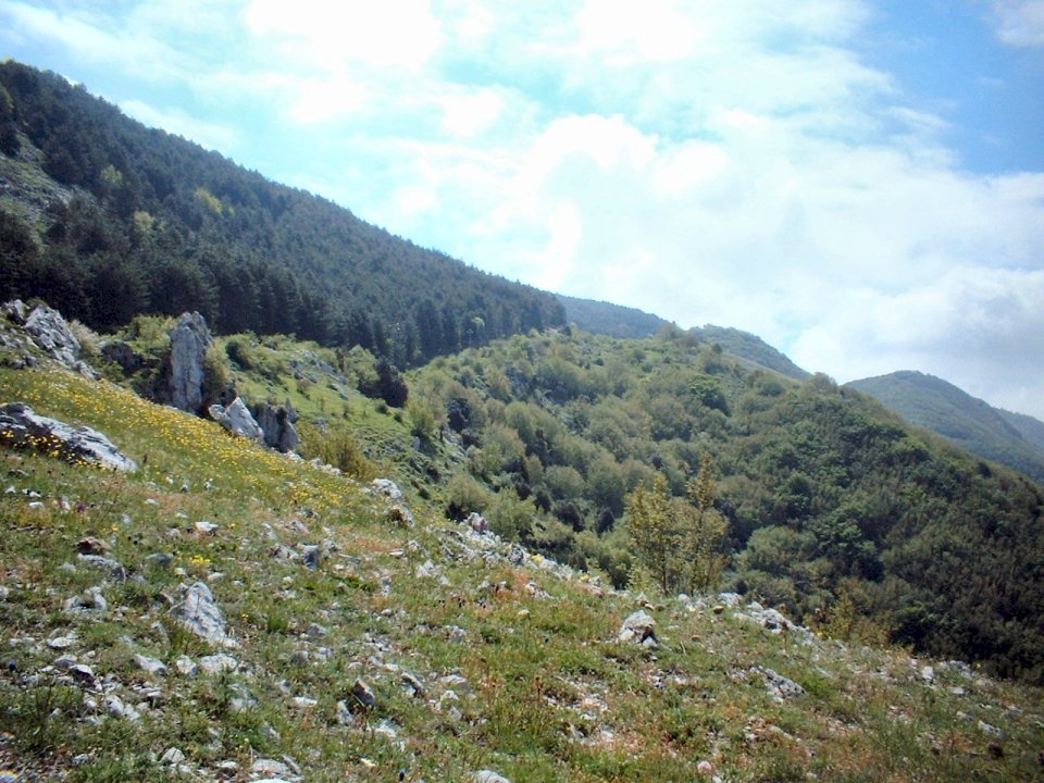 ancora foto dai simbruini